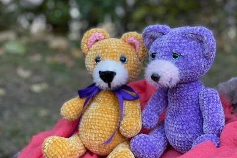 image of two bears